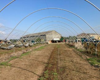 HAYGROVE POLY TUNNELS